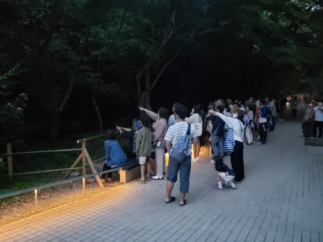 万葉公園「ほたるの宴」【湯河原町】